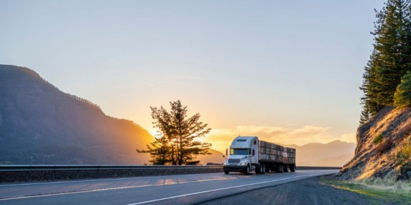 Camas y suelos para camión: Seguridad y funcionalidad en el transporte